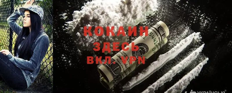 Cocaine Эквадор  купить наркотик  Иркутск 