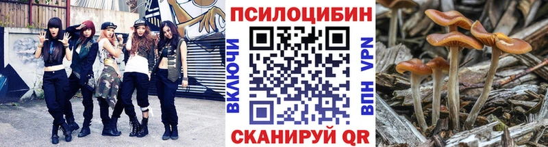 купить   Иркутск  кракен рабочий сайт  Галлюциногенные грибы мухоморы 