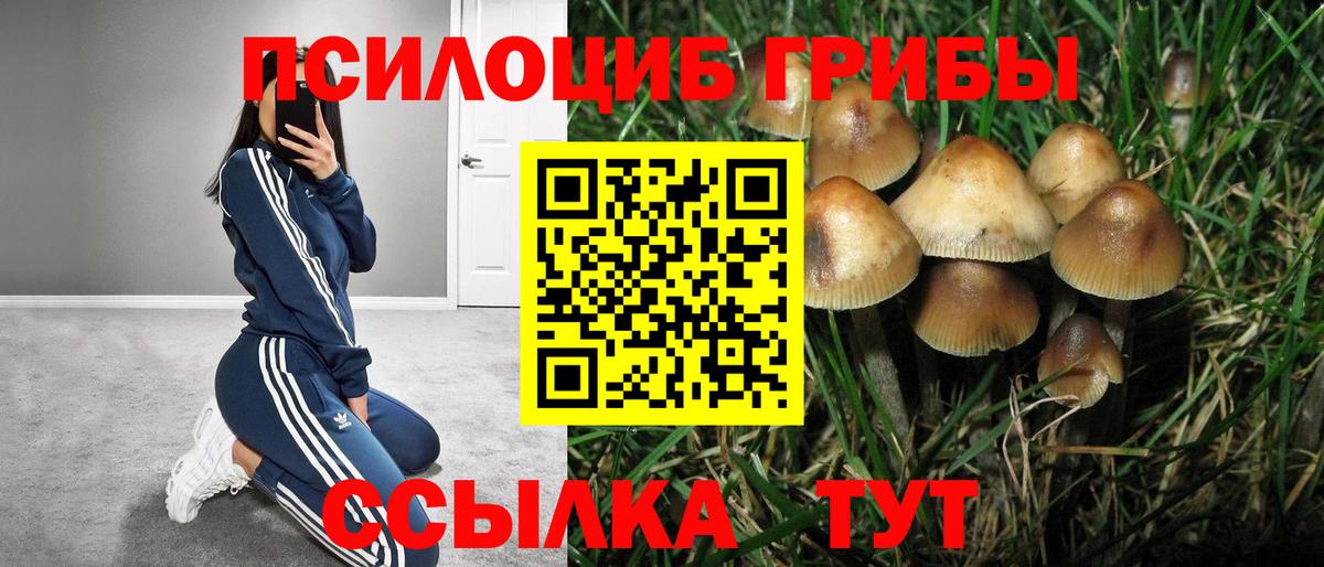 Иркутск  Галлюциногенные грибы ЛСД  Вход с VPN 